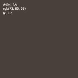 #49413A - Kelp Color Image