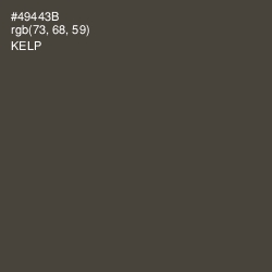 #49443B - Kelp Color Image