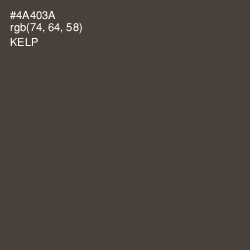 #4A403A - Kelp Color Image