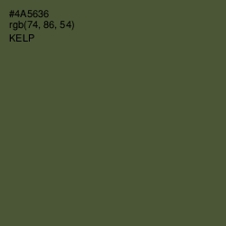 #4A5636 - Kelp Color Image
