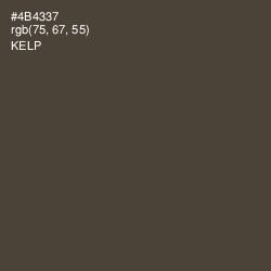 #4B4337 - Kelp Color Image