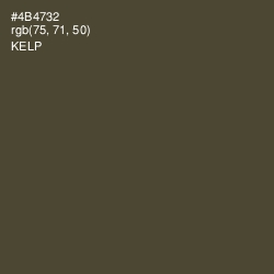 #4B4732 - Kelp Color Image