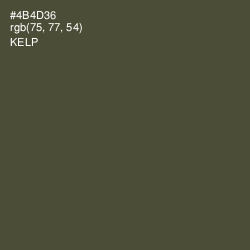 #4B4D36 - Kelp Color Image