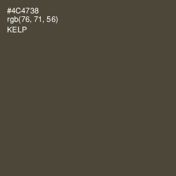 #4C4738 - Kelp Color Image