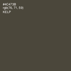 #4C473B - Kelp Color Image