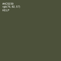 #4C5239 - Kelp Color Image
