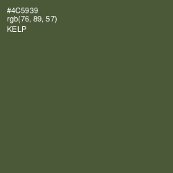 #4C5939 - Kelp Color Image