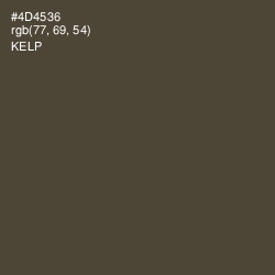 #4D4536 - Kelp Color Image