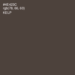 #4E423C - Kelp Color Image