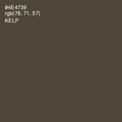 #4E4739 - Kelp Color Image