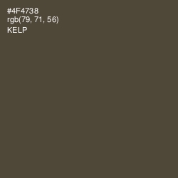#4F4738 - Kelp Color Image