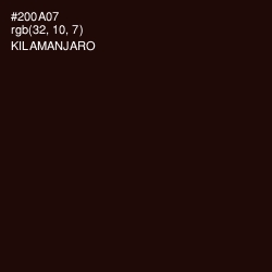 #200A07 - Kilamanjaro Color Image