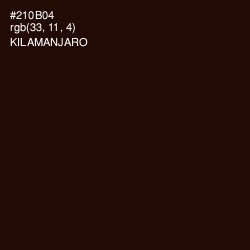 #210B04 - Kilamanjaro Color Image