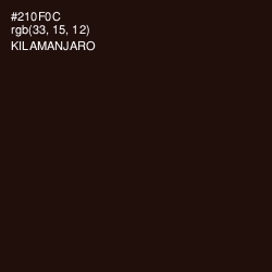 #210F0C - Kilamanjaro Color Image