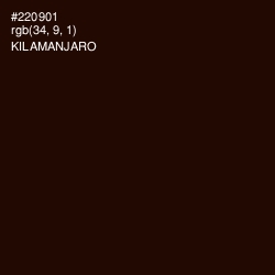 #220901 - Kilamanjaro Color Image