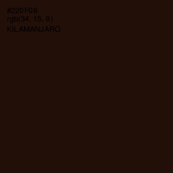 #220F08 - Kilamanjaro Color Image