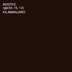 #220F0C - Kilamanjaro Color Image