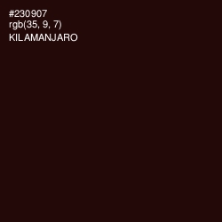 #230907 - Kilamanjaro Color Image