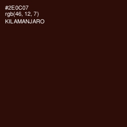 #2E0C07 - Kilamanjaro Color Image