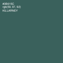 #3B615C - Killarney Color Image