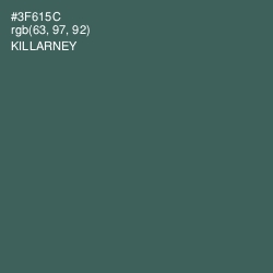 #3F615C - Killarney Color Image