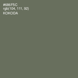 #686F5C - Kokoda Color Image