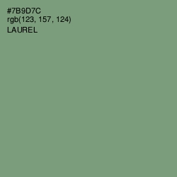 #7B9D7C - Laurel Color Image