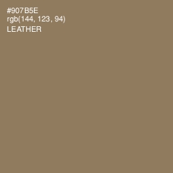 #907B5E - Leather Color Image