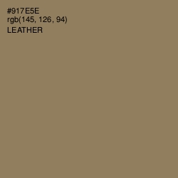 #917E5E - Leather Color Image