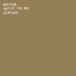 #937E58 - Leather Color Image
