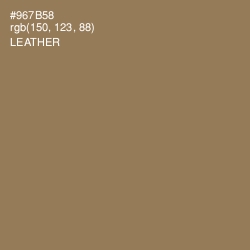 #967B58 - Leather Color Image