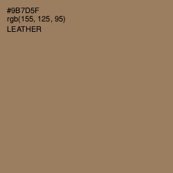 #9B7D5F - Leather Color Image