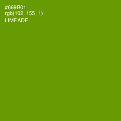 #669B01 - Limeade Color Image