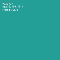 #239F97 - Lochinvar Color Image