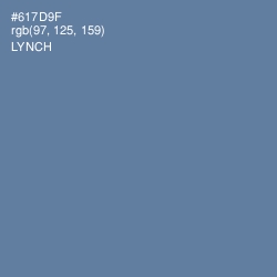 #617D9F - Lynch Color Image