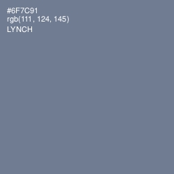 #6F7C91 - Lynch Color Image