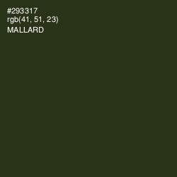 #293317 - Mallard Color Image