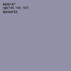 #9091A7 - Manatee Color Image