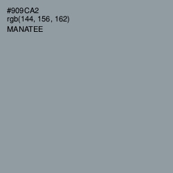 #909CA2 - Manatee Color Image