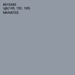 #9199A5 - Manatee Color Image