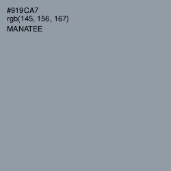 #919CA7 - Manatee Color Image