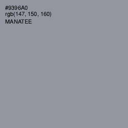 #9396A0 - Manatee Color Image
