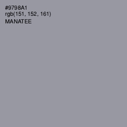 #9798A1 - Manatee Color Image