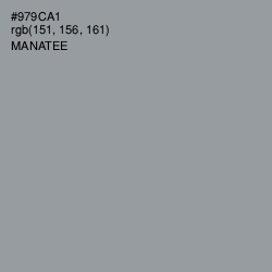 #979CA1 - Manatee Color Image