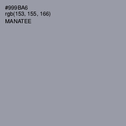 #999BA6 - Manatee Color Image