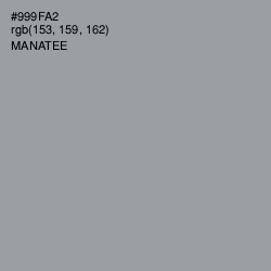 #999FA2 - Manatee Color Image
