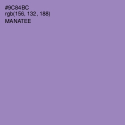 #9C84BC - Manatee Color Image