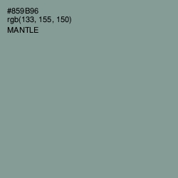 #859B96 - Mantle Color Image
