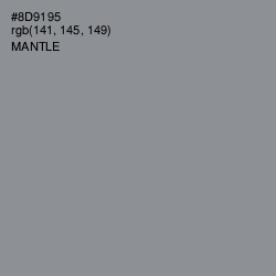#8D9195 - Mantle Color Image
