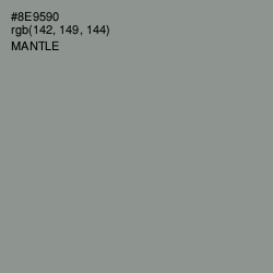 #8E9590 - Mantle Color Image